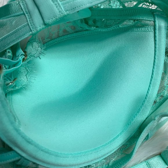 NWT Honey Birdette Vanessa Mint Bra - Picture 11 of 16
